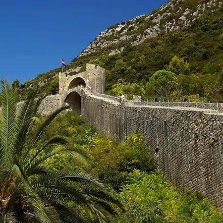 Villa Mali Ston *